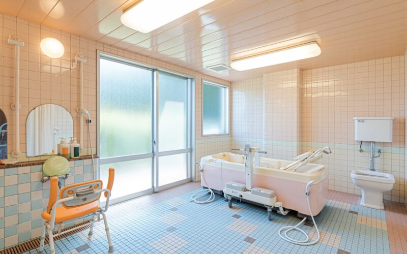 Bathing equipment for long-term care facilities